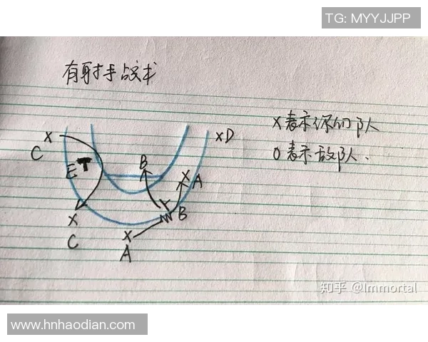 深圳篮球队在锦标赛中的战术分析与表现评估探讨